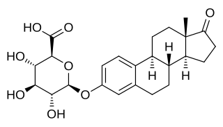 <span class="mw-page-title-main">Estrone glucuronide</span> Chemical compound