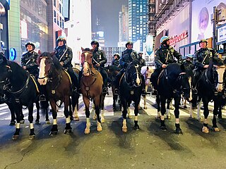 <span class="mw-page-title-main">New York City Police Department Mounted Unit</span>