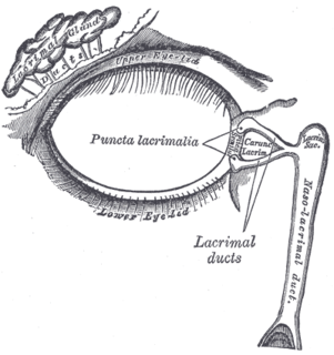 Dacryocystocele Medical condition