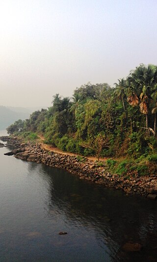 <span class="mw-page-title-main">Thiruthiyad</span> Village in Kerala, India