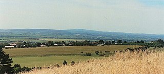 <span class="mw-page-title-main">McLaren Vale</span> Wine region in South Australia