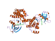 1yol: Crystal structure of Src kinase domain in complex with CGP77675