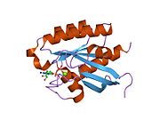 PDB 2fn4 EBI.jpg