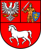 Łosice County