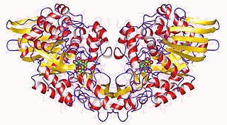 <span class="mw-page-title-main">Sucrose phosphorylase</span> Class of enzymes