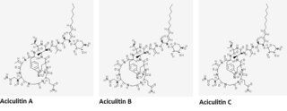 <span class="mw-page-title-main">Aciculitin</span> Group of chemical compounds