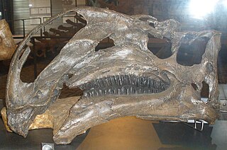 <i>Altirhinus</i> Extinct genus of dinosaurs