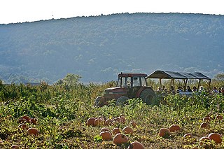 <span class="mw-page-title-main">Bluemont, Virginia</span> Unincorporated community in Virginia, United States