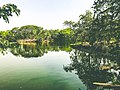 Jardin botanique