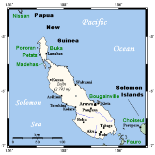 <span class="mw-page-title-main">Bougainville Island</span> Island in Papua New Guinea