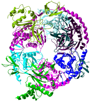 <span class="mw-page-title-main">Exosome complex</span> Protein complex that degrades RNA