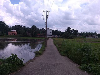 <span class="mw-page-title-main">Gangadharpur</span> Census Town in West Bengal, India