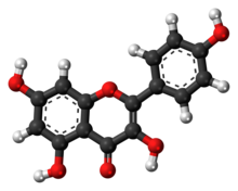 Ball-and-stick model of the kaempferol molecule