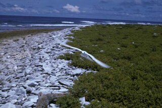 <span class="mw-page-title-main">McKean Island</span> Uninhabited island of central Kiribati