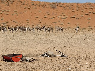 <span class="mw-page-title-main">Climate change in Namibia</span>