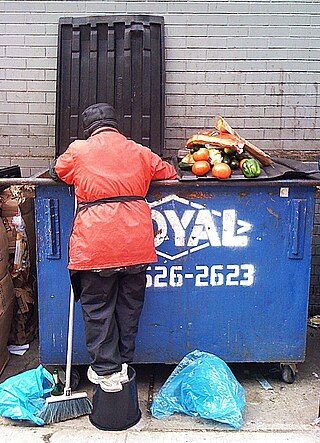 <span class="mw-page-title-main">Dumpster diving</span> Taking items from piles of waste for personal use