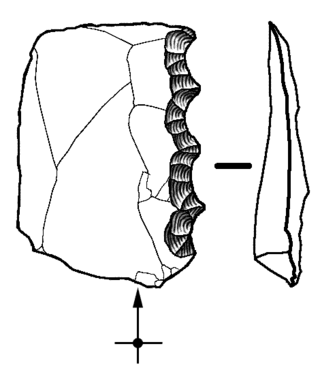 <span class="mw-page-title-main">Denticulate tool</span> Type of stone tool