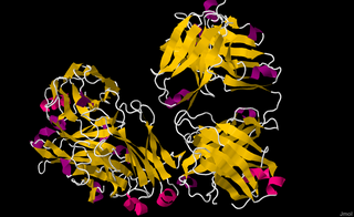 <span class="mw-page-title-main">Rituximab</span> Biopharmaceutical drug