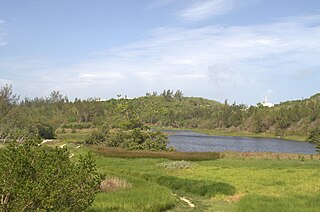 <span class="mw-page-title-main">Spittal Pond Nature Reserve</span> Wildlife sanctuary in Bermuda