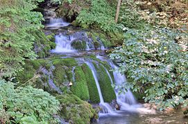 Paljanska Miljacka source at Gornje Pale, under the slopes of Jahorina