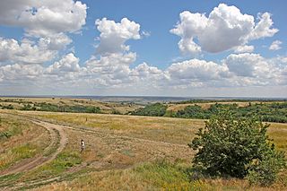 <span class="mw-page-title-main">Kalachyovsky District</span> District in Volgograd Oblast, Russia