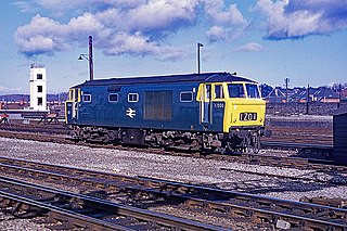 <span class="mw-page-title-main">British Rail Class 35</span> Class of diesel-hydraulic locomotives