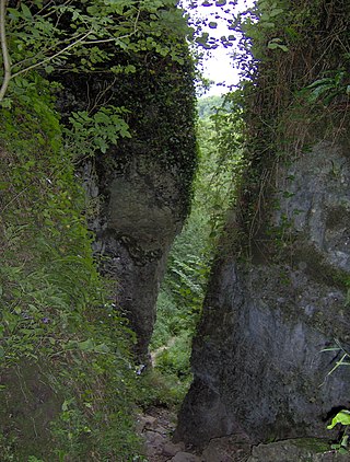 <span class="mw-page-title-main">Ebbor Gorge</span> Limestone gorge in Somerset, England