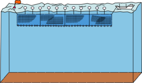 Drift netting