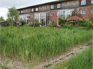 <span class="mw-page-title-main">Constructed wetland</span> Artificial wetland to treat municipal or industrial wastewater, greywater or stormwater runoff