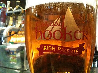 <span class="mw-page-title-main">Galway Hooker (brewery)</span> Irish brewery