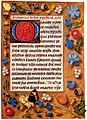 Image 20Book of Hours (from History of painting)