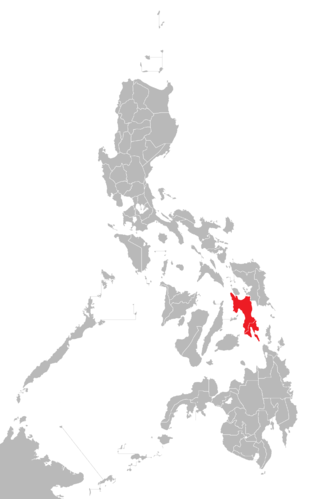 <span class="mw-page-title-main">Leyte</span> Island in the Philippines