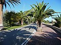 Seafront with gardens