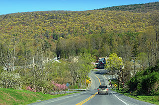 <span class="mw-page-title-main">Woodward, Pennsylvania</span> Census-designated place in Pennsylvania, United States