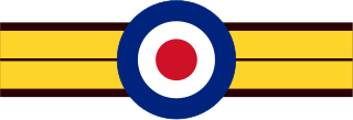 <span class="mw-page-title-main">No. 264 Squadron RAF</span> Former flying squadron of the Royal Air Force