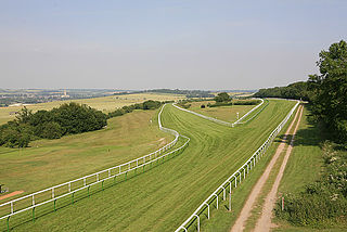 <span class="mw-page-title-main">Salisbury Racecourse</span> Horse racing venue in England