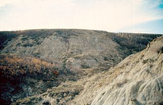 <span class="mw-page-title-main">Scollard Formation</span> Upper Cretaceous to lower Palaeocene stratigraphic unit of the Western Canada Sedimentary Basin