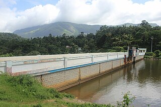 <span class="mw-page-title-main">Chenkulam Dam</span> Dam in Kerala, India