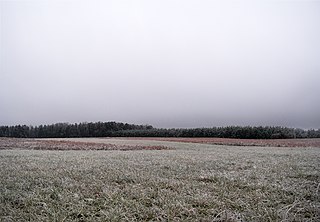 <span class="mw-page-title-main">Stratus cloud</span> Type of cloud