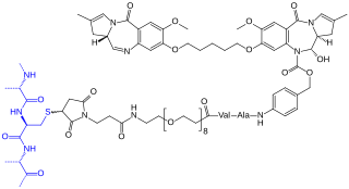 <span class="mw-page-title-main">Camidanlumab tesirine</span> Antibody-drug conjugate