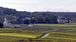 Skyline of Verzy