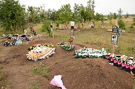 Tombes de soldats tombés en 2014.