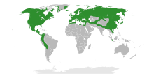 Betulaceae Distribution.svg