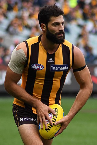 <span class="mw-page-title-main">David Mirra</span> Australian rules footballer