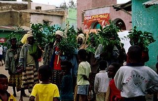 <span class="mw-page-title-main">Rainmaking (ritual)</span> Weather modification ritual