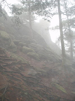 Het 'Hockendes Weib' in de mist