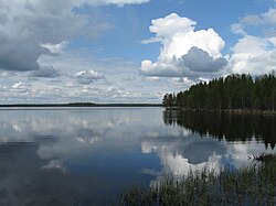 Järven itärantaa pohjoiseen katsuttuna.