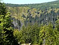 Vorschaubild für Sokolnik (Riesengebirge)