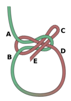 Lapp knot. [abok 280]