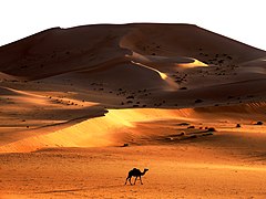 Ekialdeko Erg Handia, Sahara